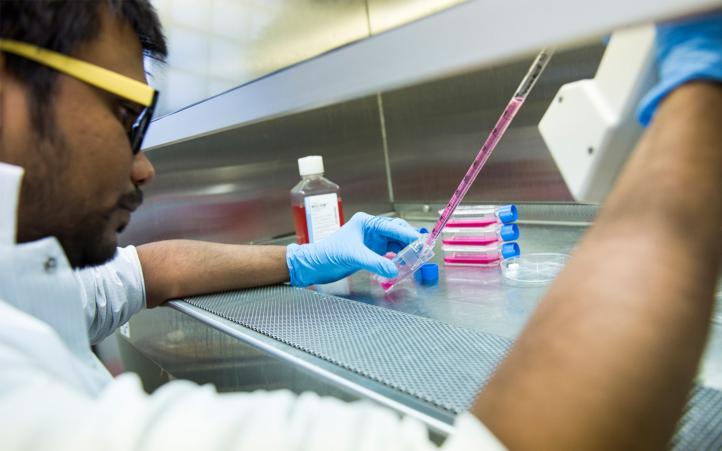 cancer research